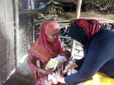 The Government Family Welfare Assistants, Health Assistants, and Community Health Care Providers in Bangladesh