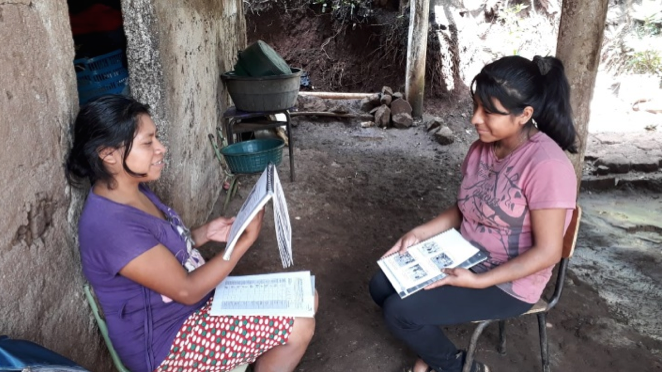 The Guatemala Community Health Worker Program