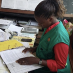 Country Case Study: Mozambique