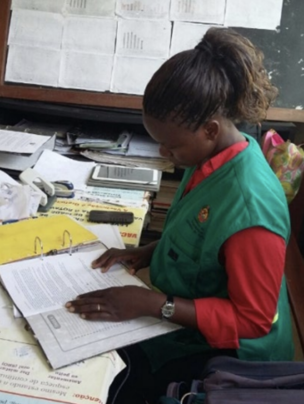 Mozambique’s Agentes Polivalentes Elementares