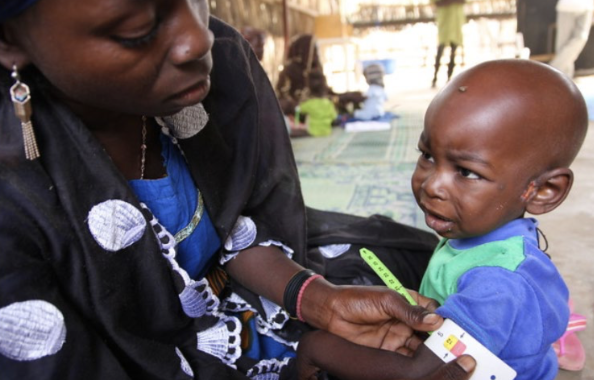 Niger’s Program of Agents de Santé Communautaire and Relais Volunteers