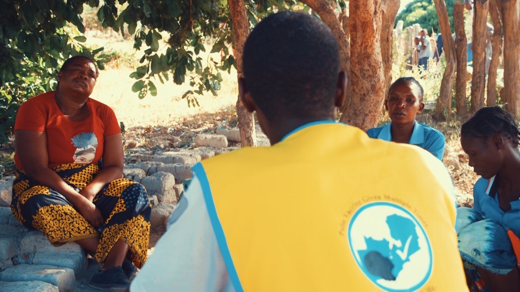 Unsung Heroes of Rural Zambia: The Vital Role of Community Health Workers